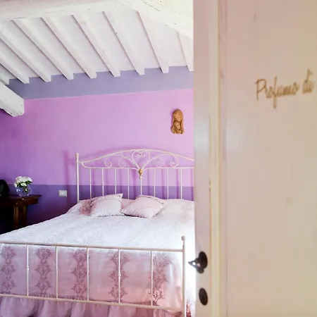 Tenuta Le Tre Virtu